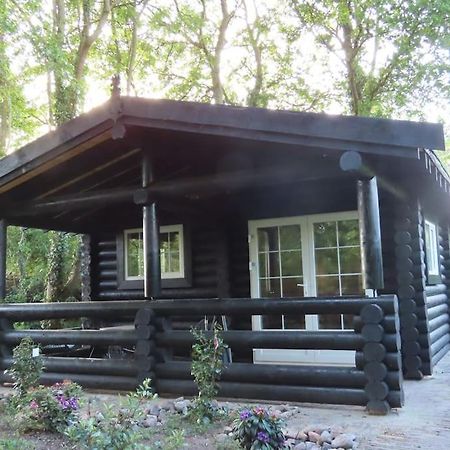 Knusse En Gezellige Blokhut De Bijenstal Villa Dedemsvaart Esterno foto