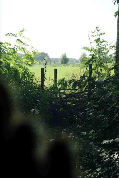 Knusse En Gezellige Blokhut De Bijenstal Villa Dedemsvaart Esterno foto